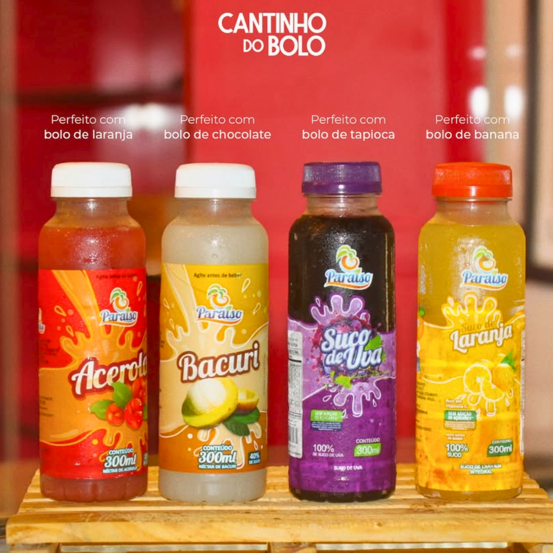 Suco de Fruta 300ml